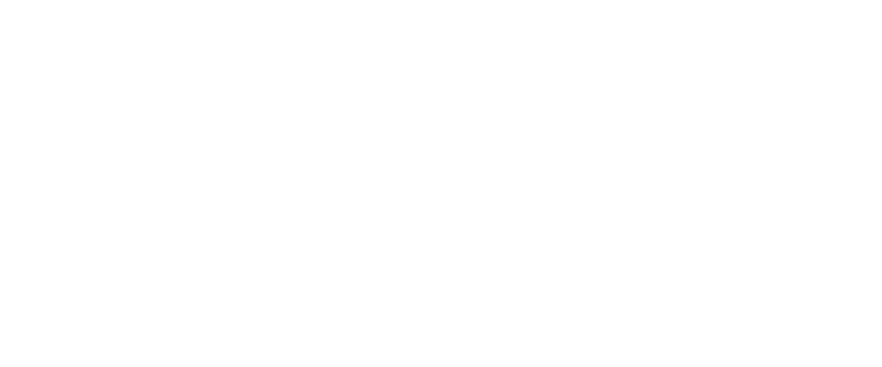 Virtual Notary 365